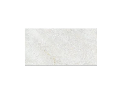 Omega White 31.6cm X 60.8cm Wall & Floor Tile