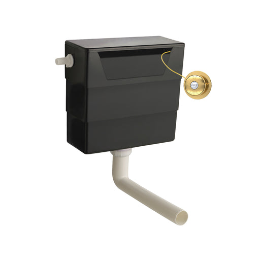 Universal Access Cistern & Brushed Brass Traditional Flush Plate