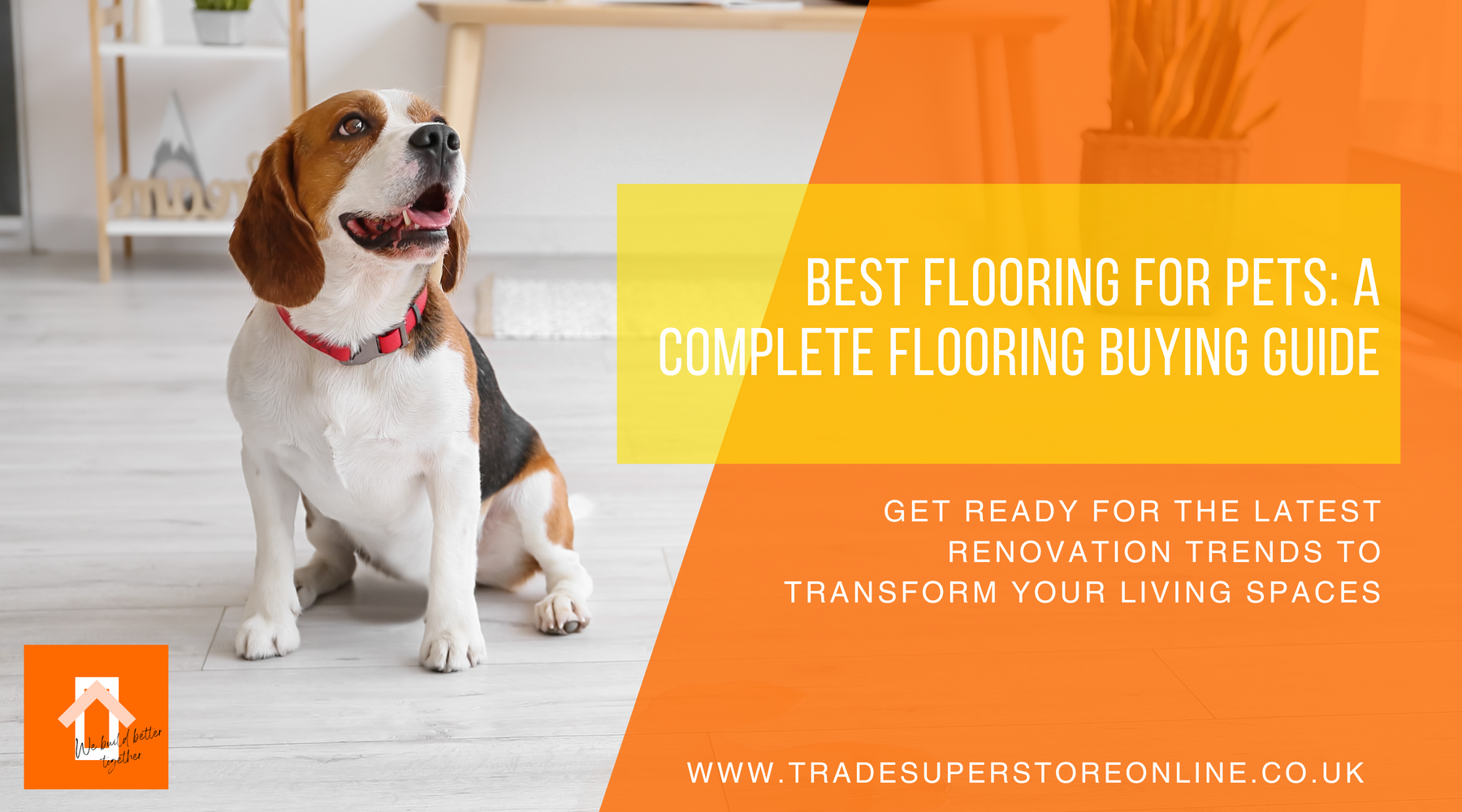 Best Flooring for Pets: A Complete Flooring Buying Guide