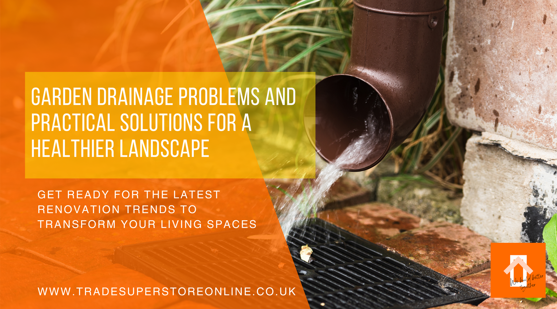 Garden Drainage Problems and Practical Solutions for a Healthier Landscape