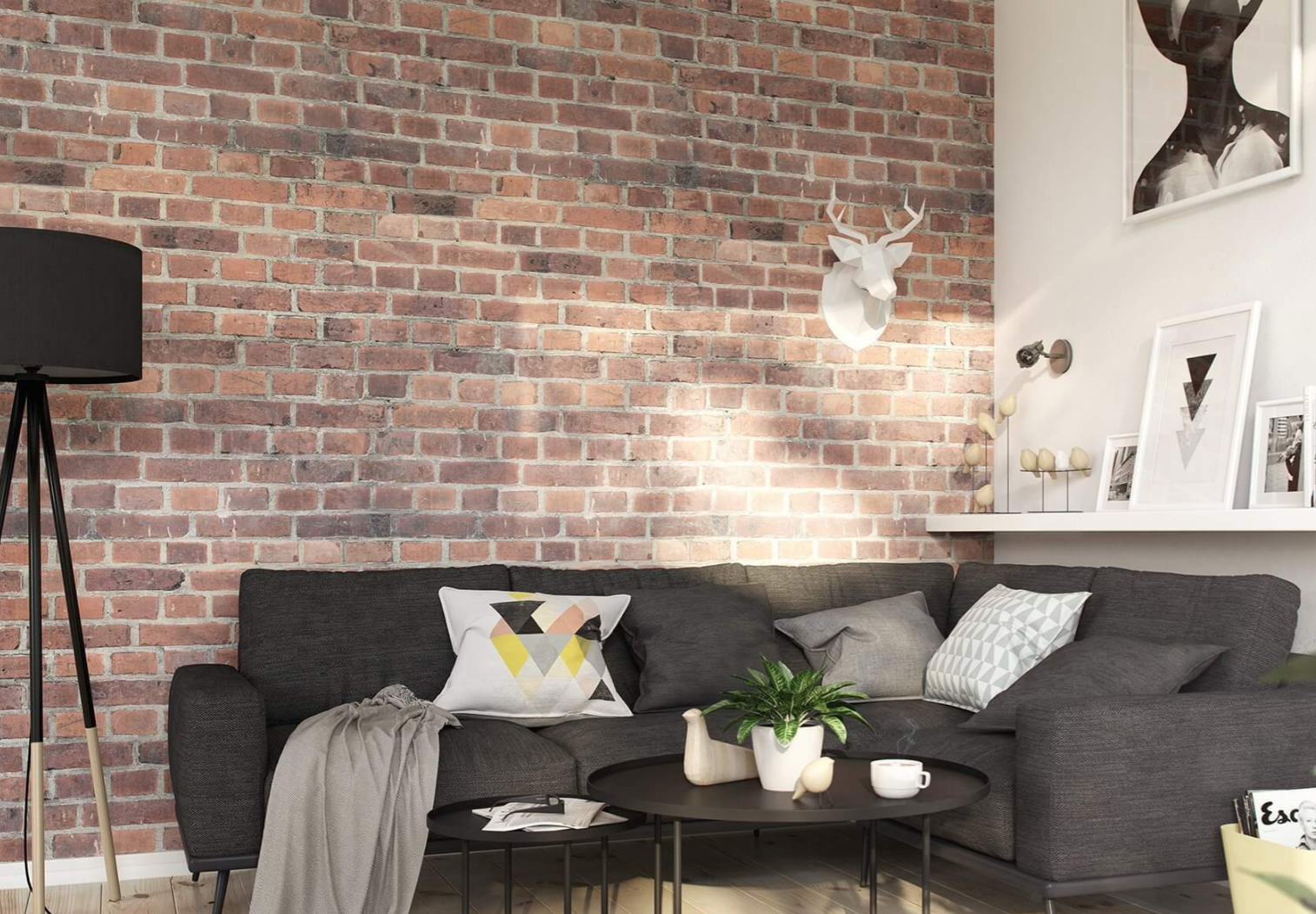 Elevate Your Space with our Brick Slip Wall Cladding: The Trend That’s Redefining Interiors and Exteriors