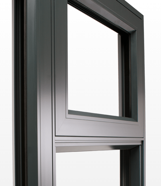 Sash Windows