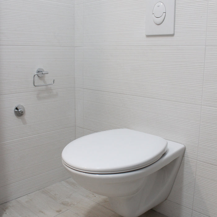 Embracing Modern Elegance: 5 Reasons to Choose a Concealed Toilet Cistern in Your New Bathroom