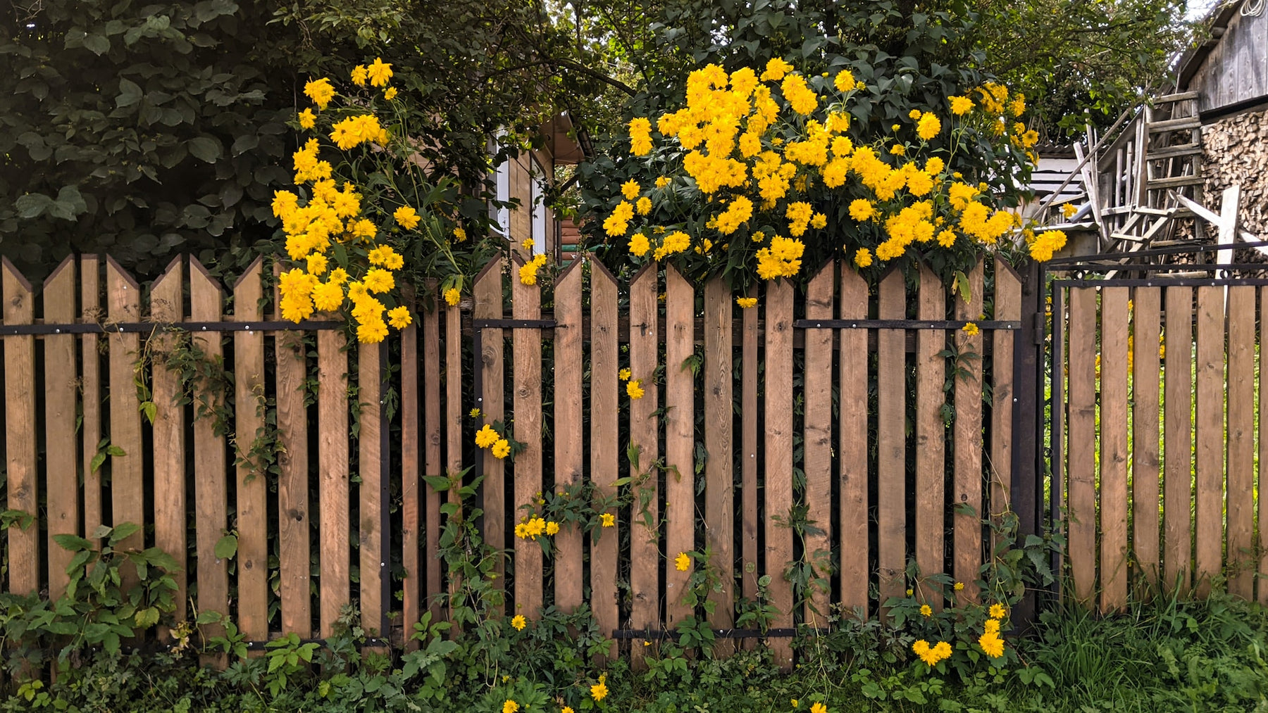 Crafting Boundaries: Things to Consider When Building a New Garden Fence