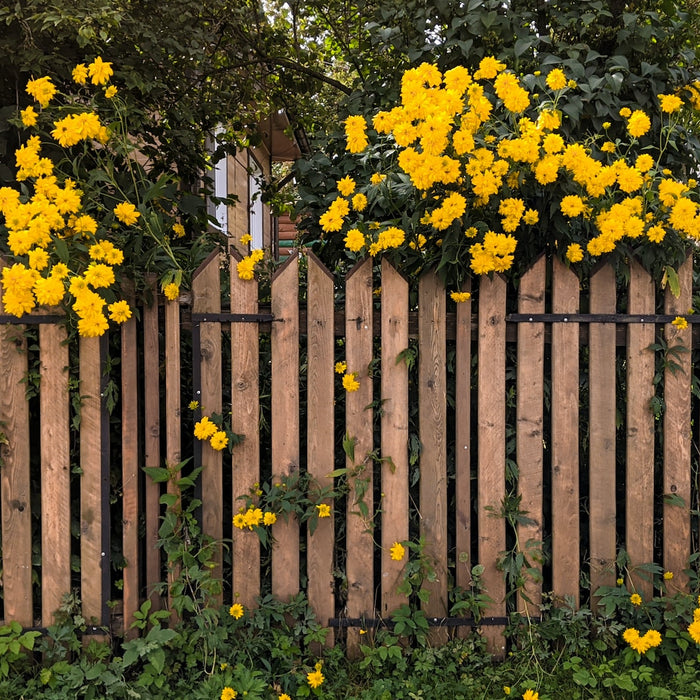 Crafting Boundaries: Things to Consider When Building a New Garden Fence