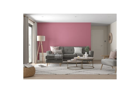 Dulux Trade Vinyl Matt 5L Raspberry Diva