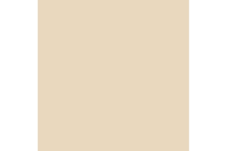Dulux Trade Vinyl Matt 5L Ivory