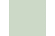 Dulux Trade Vinyl Matt 5L Willow Tree