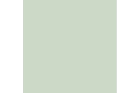 Dulux Trade Vinyl Matt 5L Willow Tree