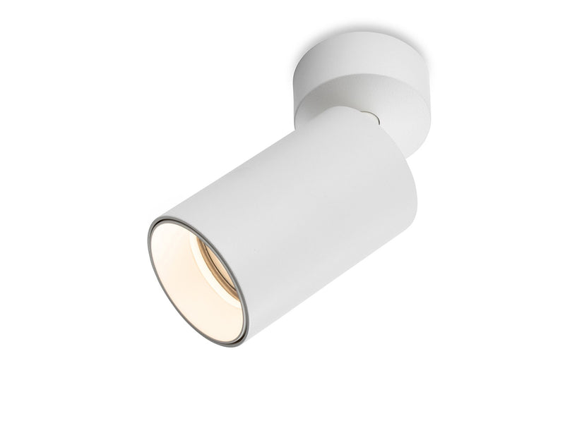Max Wall / Ceiling Spot - White