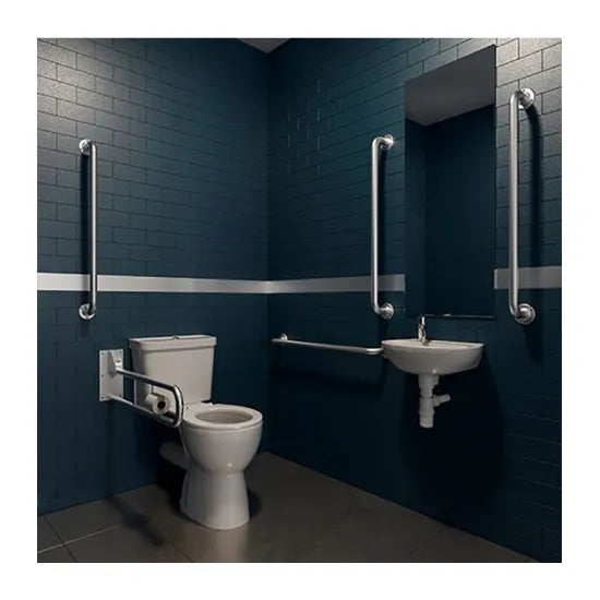 Arley Pro Stainless Steel Rimless Toilet