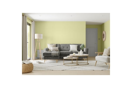 Dulux Trade Vinyl Matt 5L Melon Sorbet