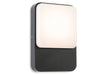 Hero LED Wall Light - Graphite with White Polycarbonate Diffuser