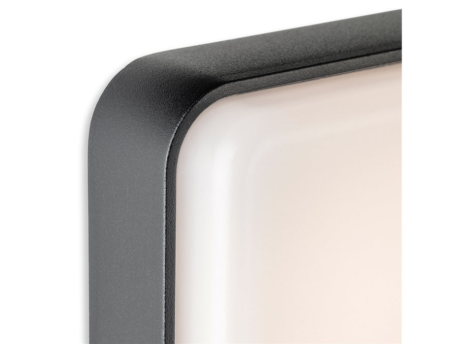 Hero LED Wall Light - Graphite with White Polycarbonate Diffuser