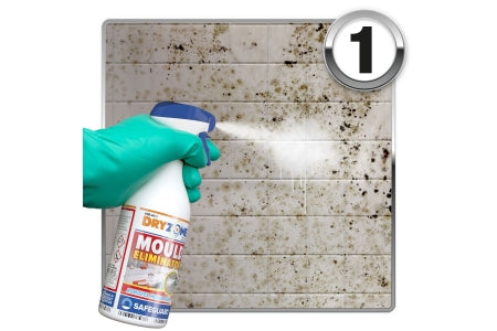 Safeguard Dryzone Mould Removal Kit (3 X 450ml)