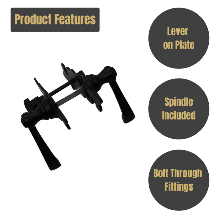 Fleur de Lys Lever Bathroom