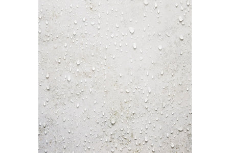 Safeguard Dryzone Anti-mould Emulsion Paint 1L White