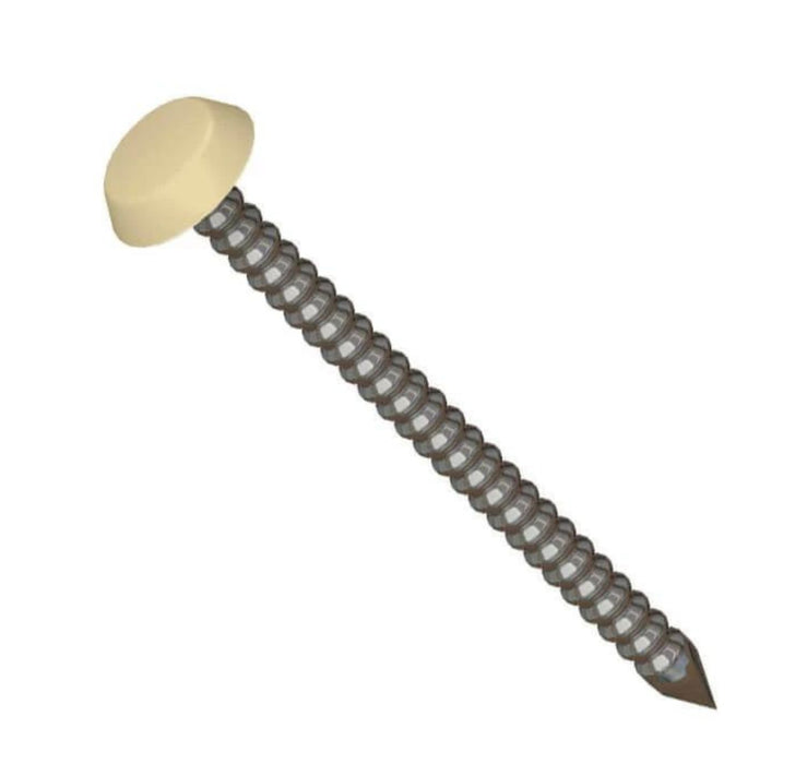 Cream Polytop Stainless Steel Fixing Nails