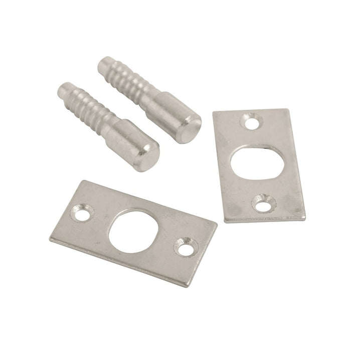 Steel Hinge Bolts BZP