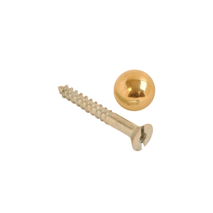 Mirror Screw & Dome Brass
