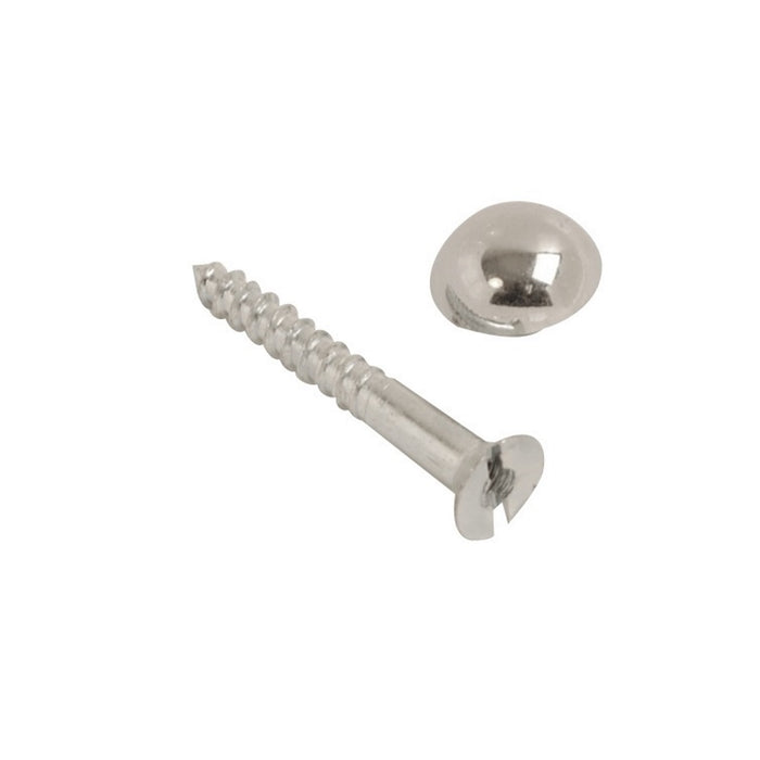 Mirror Screw & Dome Chrome