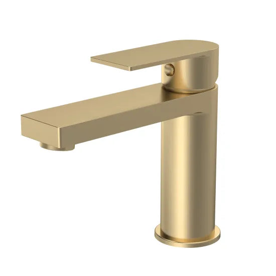Arley Pro Privett  Mono Basin Mixer With Push Button Waste