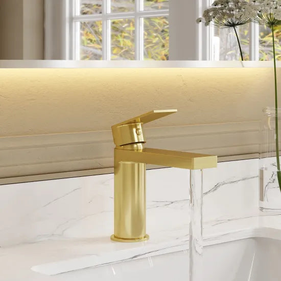 Arley Pro Privett  Mono Basin Mixer With Push Button Waste