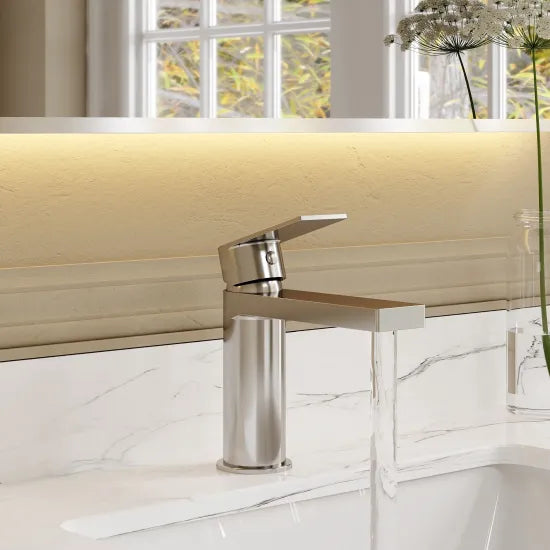 Arley Pro Privett  Mono Basin Mixer With Push Button Waste