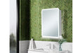 Amaya 500mm 1 Door LED Mirrored Cabinet