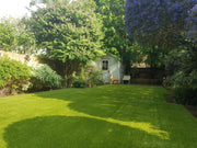 Artificial Grass