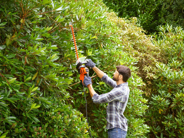 BEHTS401 Hedge Strimmer® with Saw Blade 55cm 500W 240V
