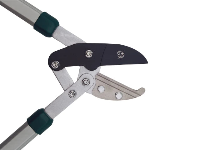 BD1101RW Evergreen Compound Anvil Lopper