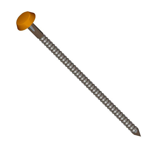 Caramel Oak Polytop Stainless Steel Fixing Nails