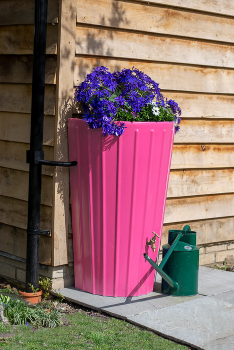 Mini Cosmo Water Butt Planter in Pink