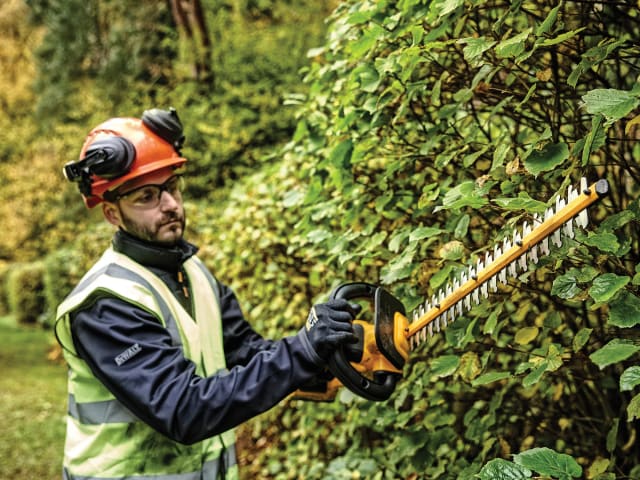 DCMPH566P1 XR Pole Hedge Trimmer 18V 1 x 5.0Ah Li-ion