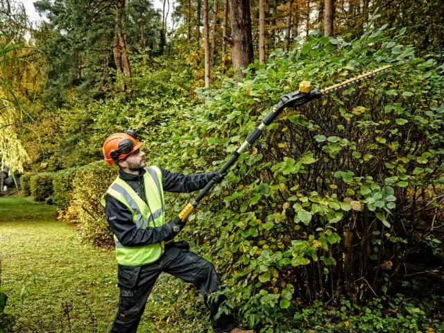 DCMPH566P1 XR Pole Hedge Trimmer 18V 1 x 5.0Ah Li-ion