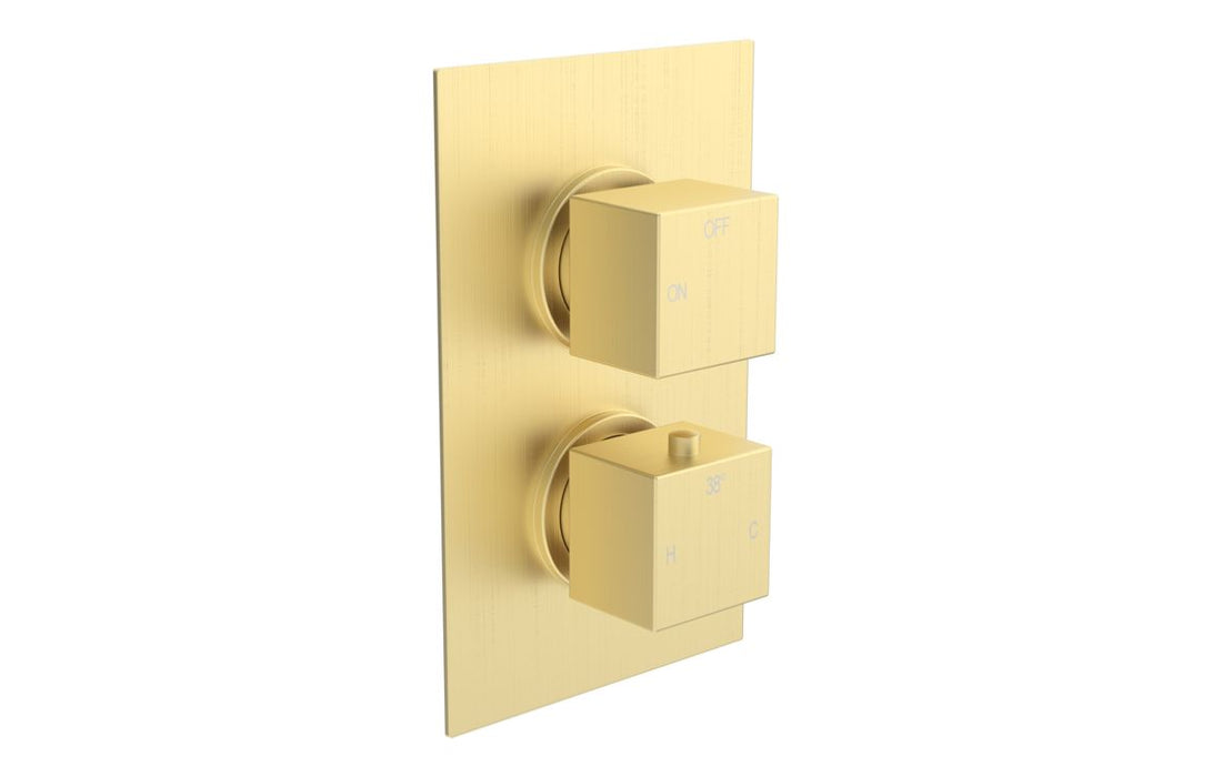 Eclipse Square Shower Valve & Kit Pack 1 - Brushed Brass
