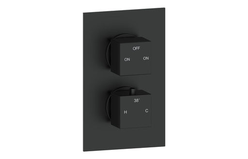 Eclipse Thermostatic Two Outlet Twin Shower Valve - Matt Black