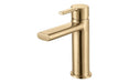 Evani Basin Mixer - Brushed Brass