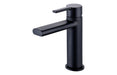Evani Basin Mixer - Matt Black