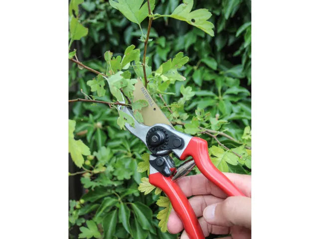 Countryman Professional Bypass Secateurs 215mm (8in)