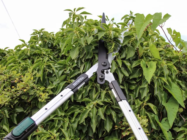 Countryman Telescopic Hedge Shear 300mm (12in)