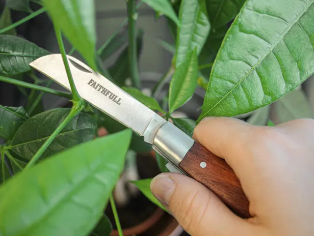 Countryman Budding & Pruning Knife