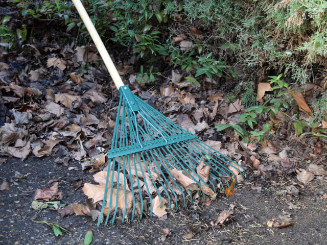 Countryman Leaf Rake 22 Flat Tines