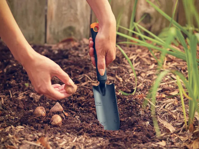 Ergo Transplanter