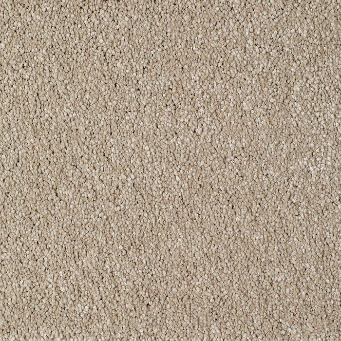 EASTBOURNE ELITE BISCUIT Carpet