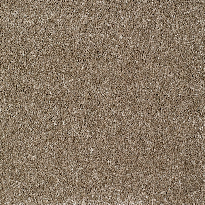 EASTBOURNE LUXURY MINK Carpet