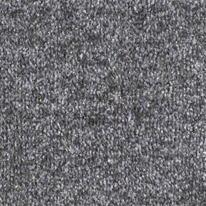 CARRICK COVE ACTION 175 SILVER Carpet