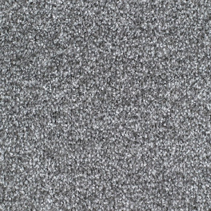 CARRICK COVE ACTION 176 GREY Carpet