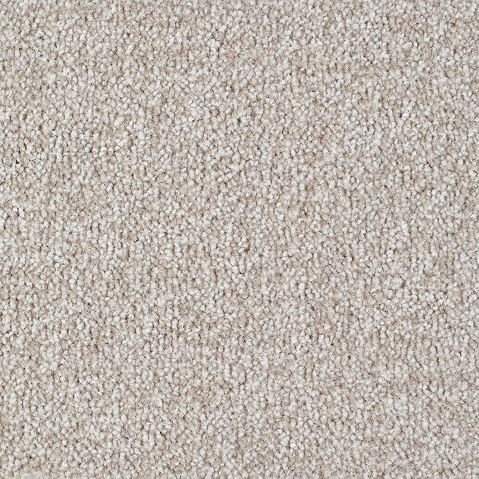 CARRICK COVE ACTION 71 CREAM Carpet